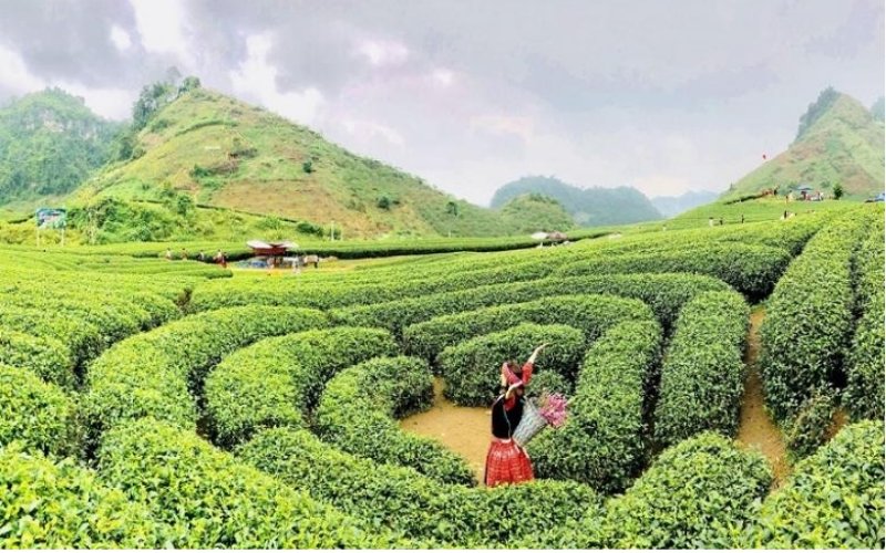 Tour Du Lịch Mai Châu - Mộc Châu 3N2Đ
