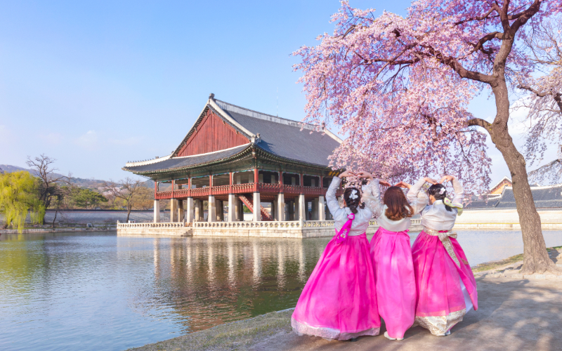 Tour Hàn Quốc 5N4Đ (bay tối) - Mùa Hoa Anh Đào 2024 (Seoul – Nami Island – Everland – Yeouido Park)